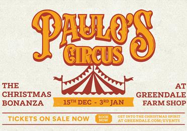 Paulo's Christmas Circus