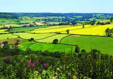 East Devon countryside in the sun