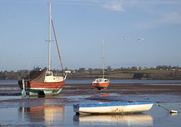 The Exe Estuary