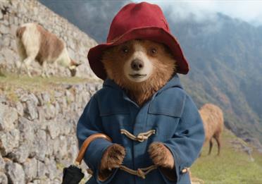 Paddington in Peru