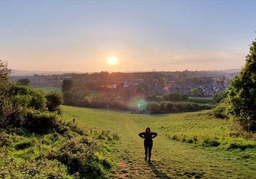 Ludwell Valley Park