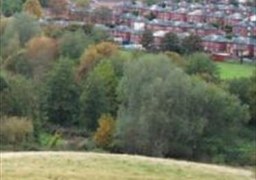 Ludwell Valley Park view