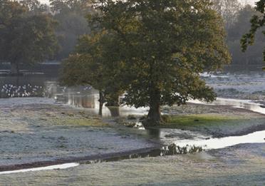 Matford Marsh landscape