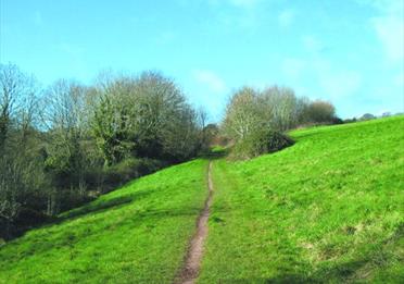 Mincinglake Valley Park