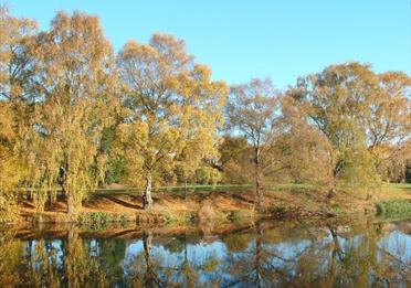 Autumn colours on banks of River Exe at Belle Isle