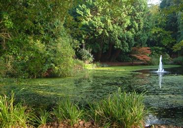 Exeter University Gardens