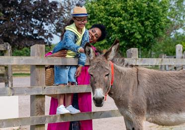 The Donkey Sanctuary