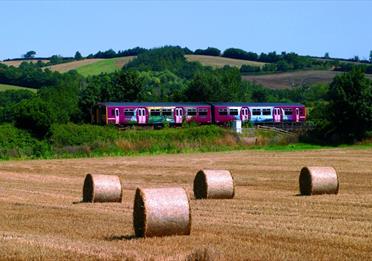 The Tarka Line - field