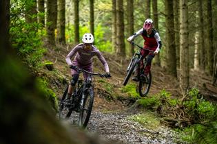 Haldon Forest Park - Forestry England - Country Park/Nature Reserve in ...