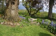Exe Valley Bed and Breakfast: garden