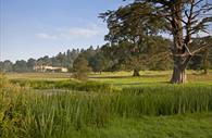 Killerton pond