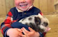 Child with a pig at Pennywell