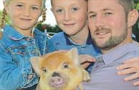 Pennywell Farm is an award-winning family attraction.