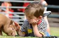 Famous Pennywell Miniature Pigs