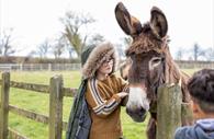 young boy in winter with brown donkey