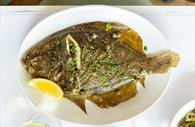 Brill at Rockfish