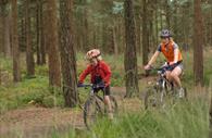 Haldon Forest Park