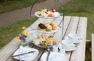 Afternoon Tea at Bernaville Nurseries