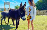 Pennywell donkeys