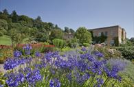 Killerton house garden