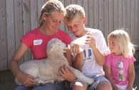 Pennywell lamb feeding