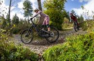 Cycling at Haldon Forest Park