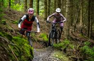 Discover Haldon Forest Park on two wheels