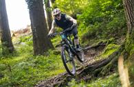 Variety of cycle trails at Haldon Forest Park