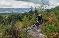 Mountain biking around Haldon Forest Park