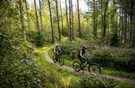 Cycling trails for all abilities at Haldon Forest Park