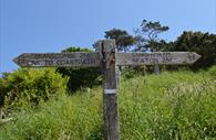 South West Cost Path sign, Beer