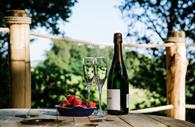 Bubbly & strawberries with view through trees