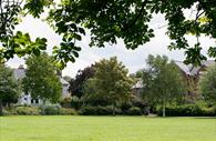 Image of Bury Meadow taken under a tree