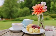 Devon cream tea