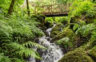 Canonteign Falls