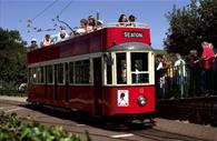 People on the Seaton Tramway in movement