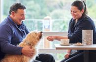 Dog friendly, Firestone Cafe at Kents Cavern, Torquay