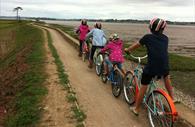 Exe Estuary Trail - cycling near Darts Farm