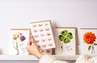 A selection of beautiful homewares at Arrietty