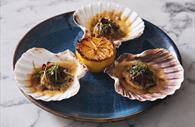 Sabatini Exeter scallops