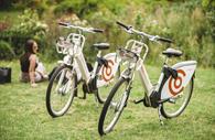 Co Bikes on Exeter Canal