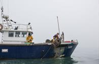 From sea to shop with fresh local seafood.