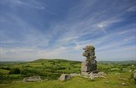 Dartmoor Bowermans Nose