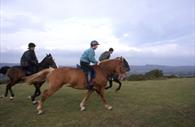 Riding on Dartmoor (c) Dartmoor Partnership