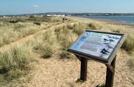 Dawlish Warren sand dune path