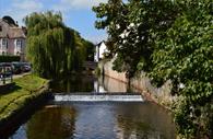 Dawlish Brook with trees