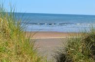 Dawlish Warren Beach, image taken through the bushes