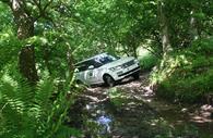 Range Rover off road in the woods