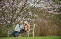 Enjoying the Spring blossom at RHS Rosemoor