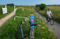 Exe Estuary Trail. Copyright: Devon County Council